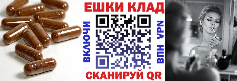 Экстази бентли блэк спрут вход Омск
