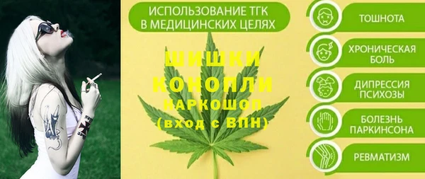 амф Медногорск