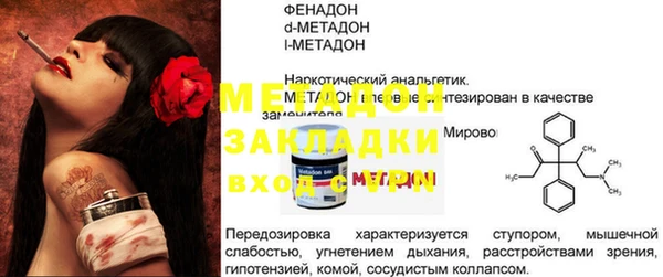 индика Нея