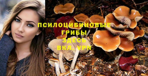 2c-b Медвежьегорск