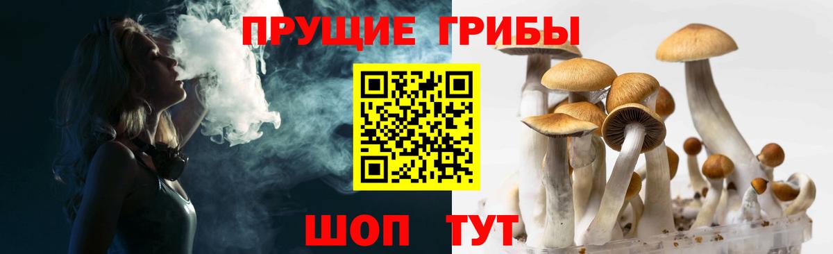 Псилоцибиновые грибы GOLDEN TEACHER Россия